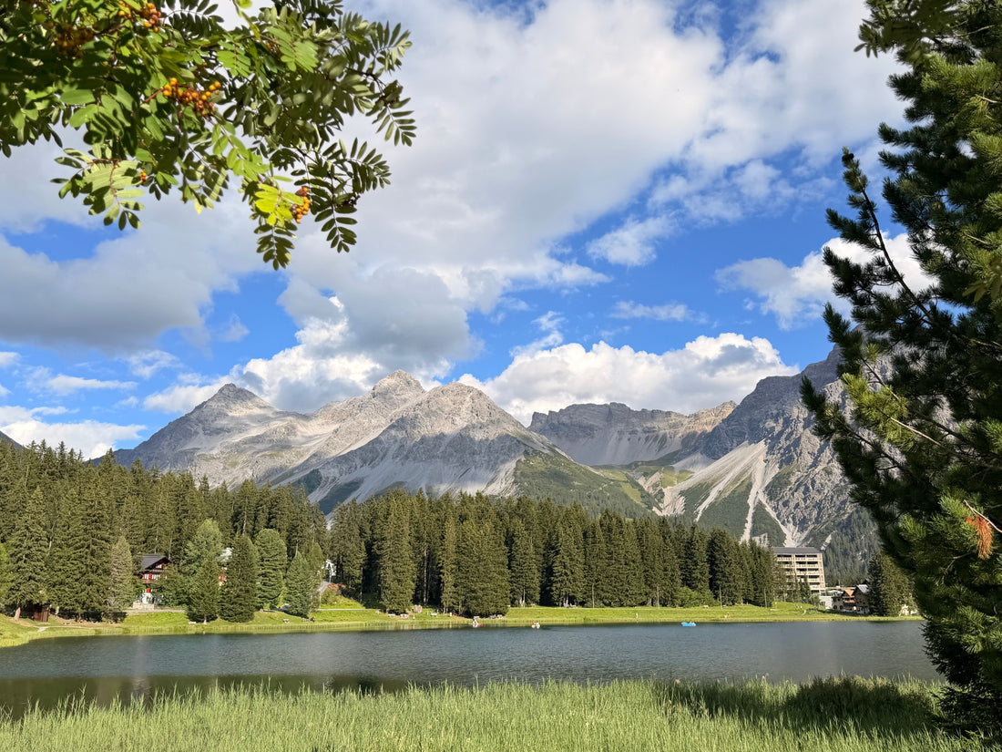 Arosa, Switzerland: A Small Place With a Lot to Say