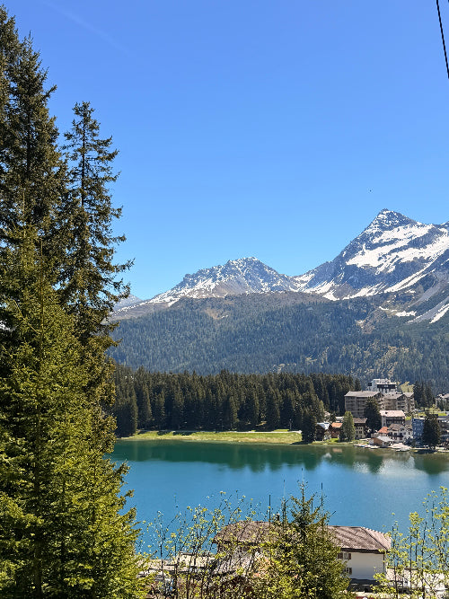 Arosa Mountain landscape with a clear blue sky and trees in the foreground.