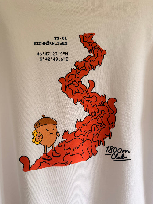 Backprint of the TS-01 Eichhörnliweg design from the 1800m Club Arosa