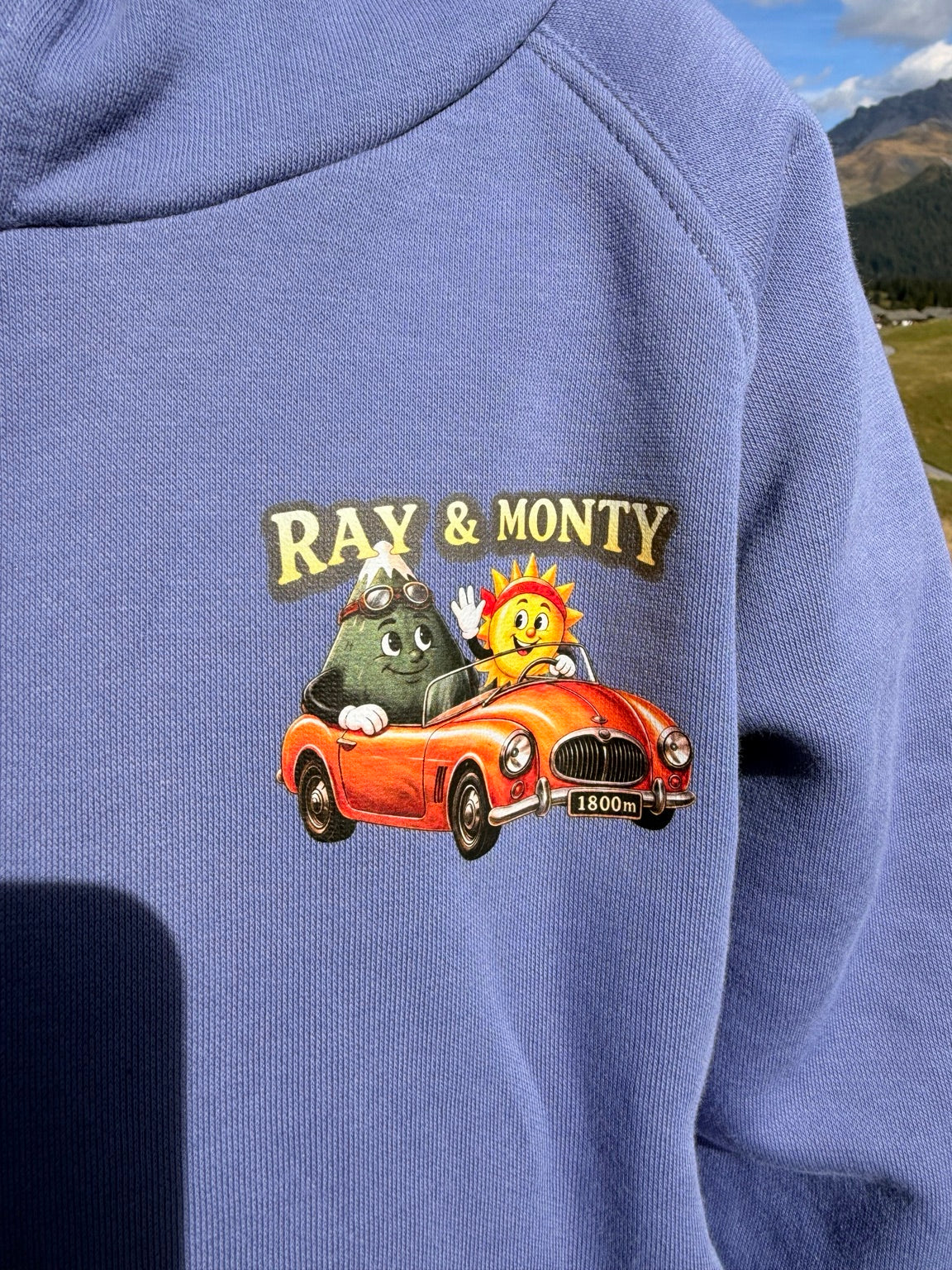 Small Ray & Monty chest print on the blue kids' hoodie, with the two characters in a red convertible.